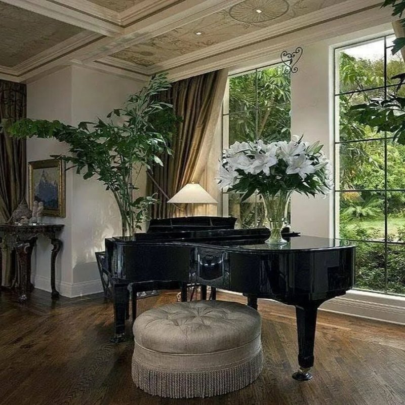 Grand piano living room