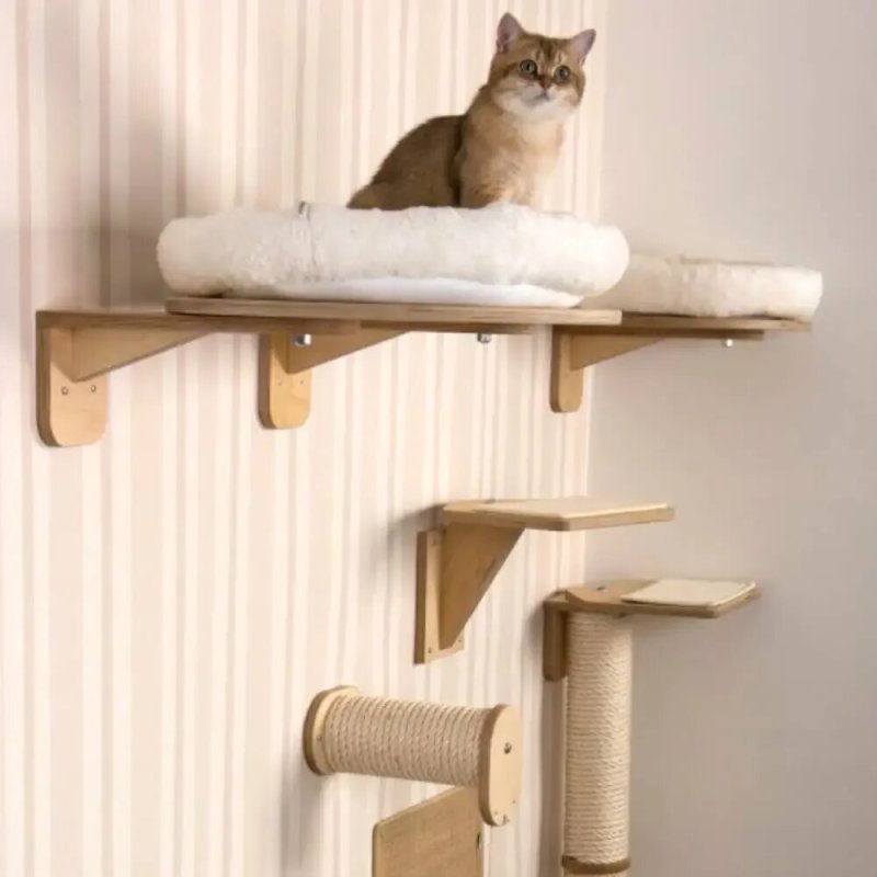 Кошачий домик лазалка