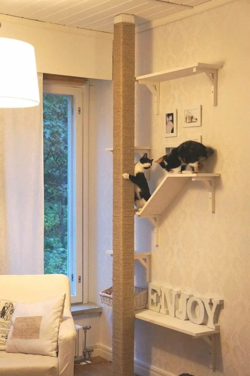 Кошачья лазалка
