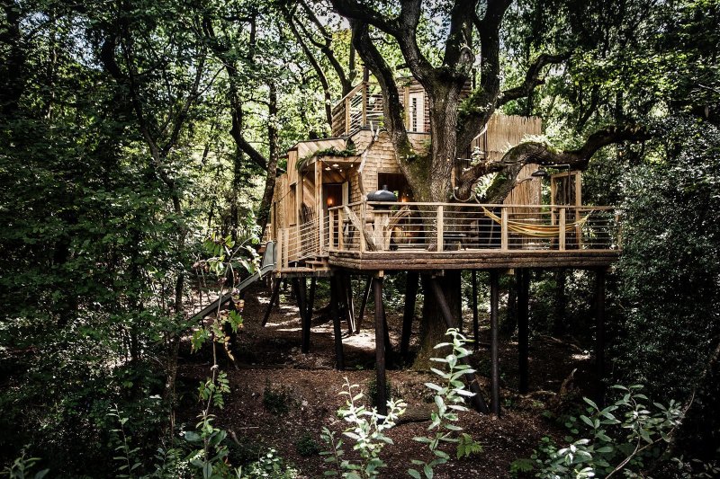 Treehouse домик на дереве