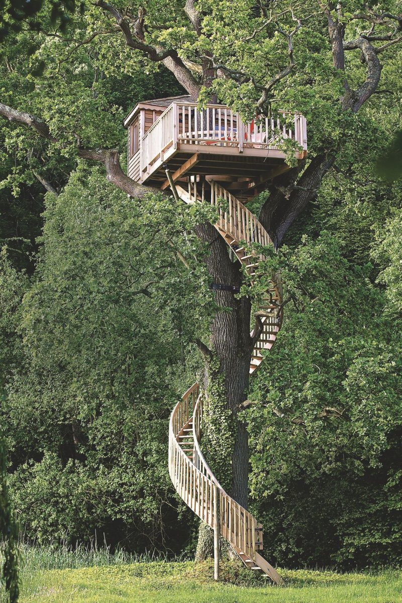 Treehouse treehouse