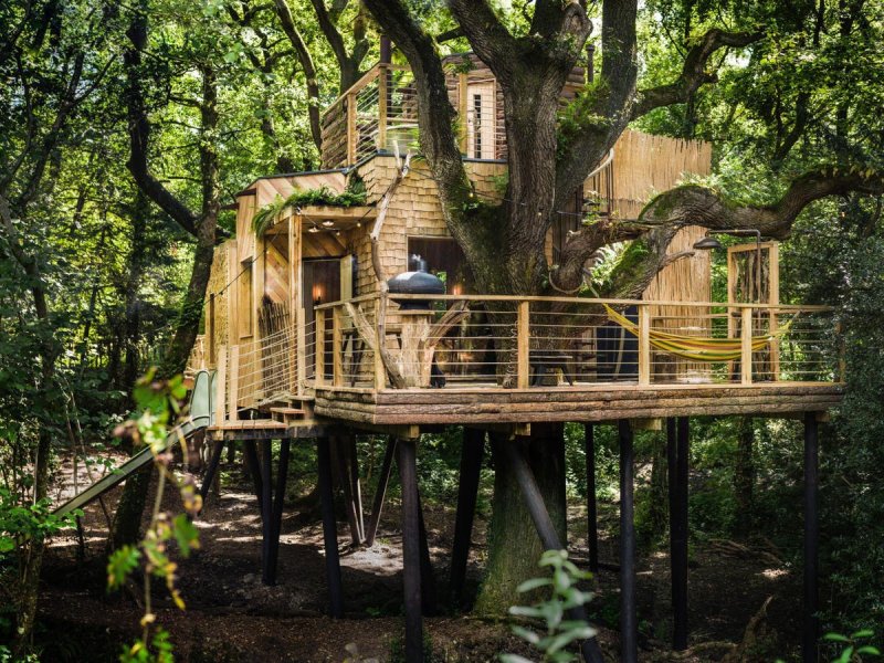 Treehouse домик на дереве