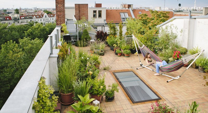 Эксплуатируемая плоская кровля green roof