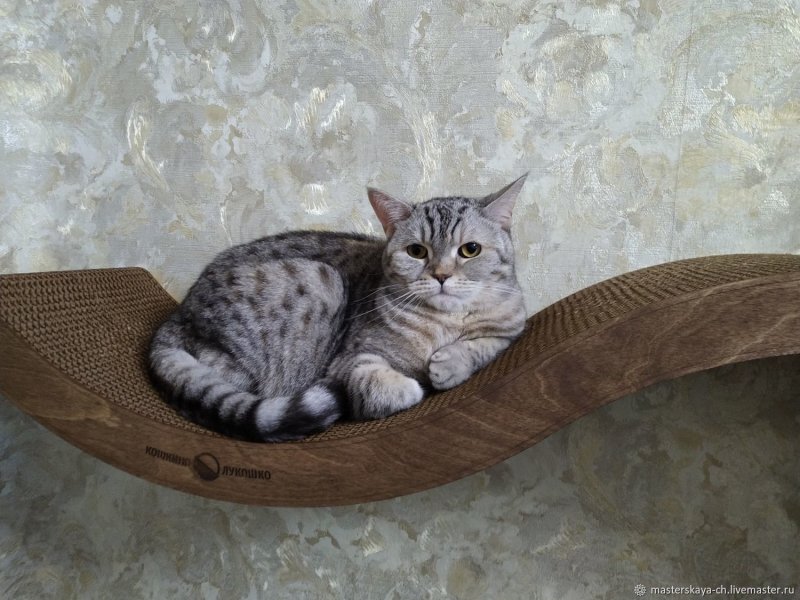 Настенная лежанка для кошек