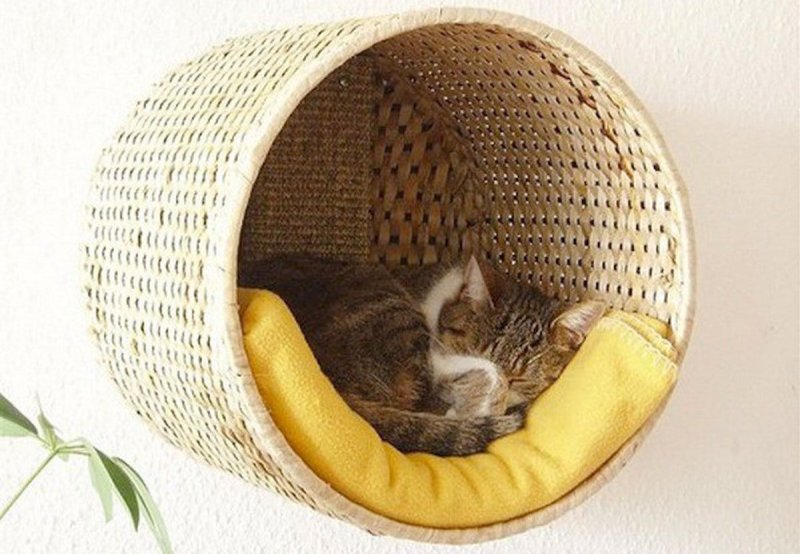 Сделать домик для кошки