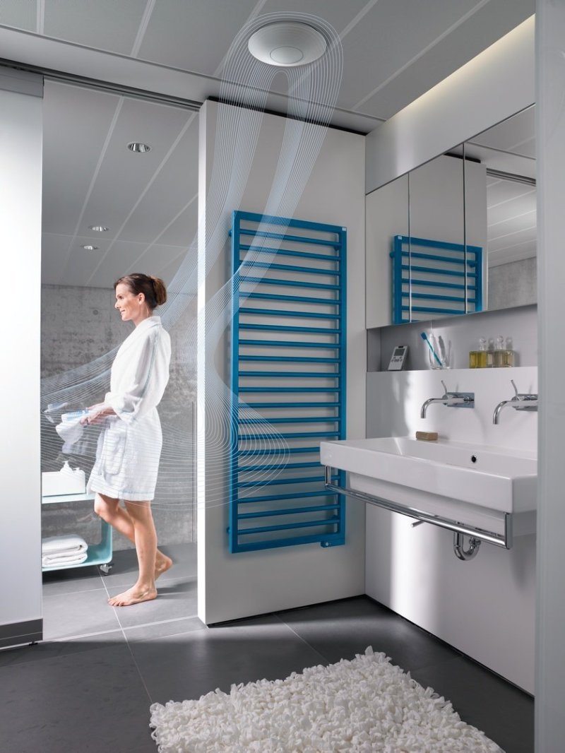 Полотенцесушитель электрический zehnder