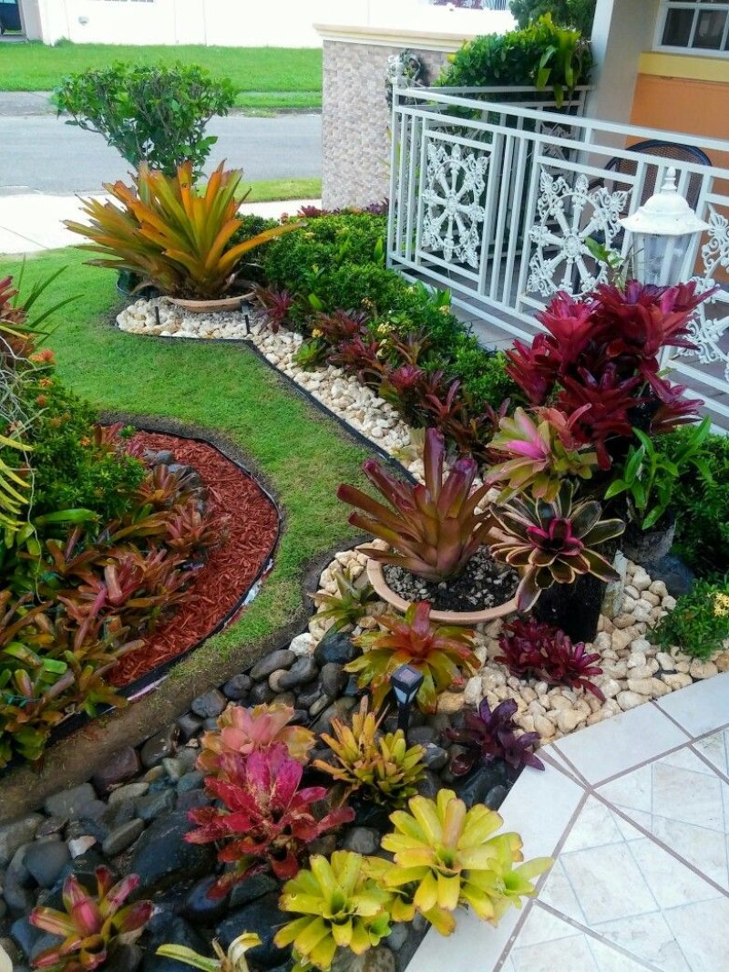 Front yard landscaping