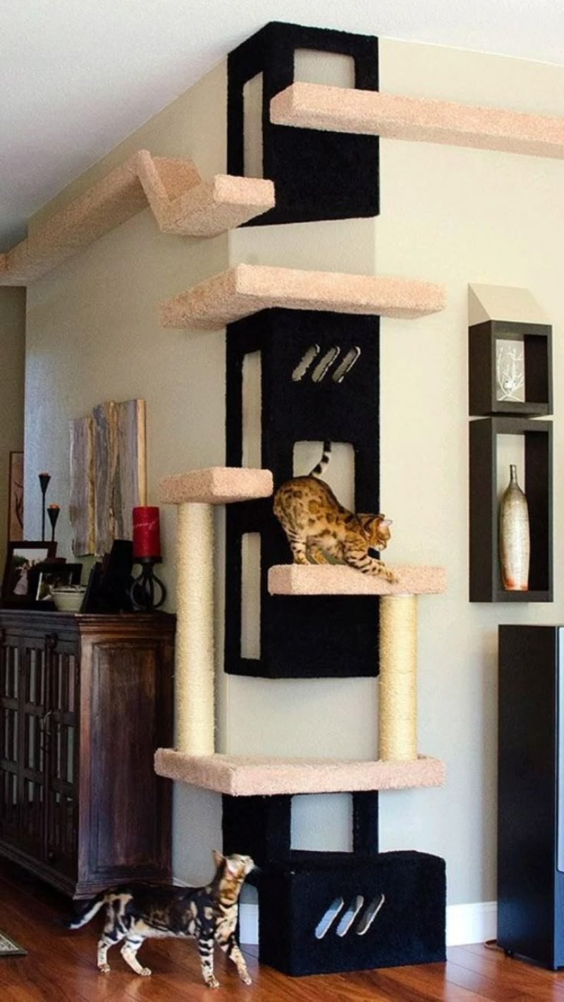 Кошачий комплекс на стену