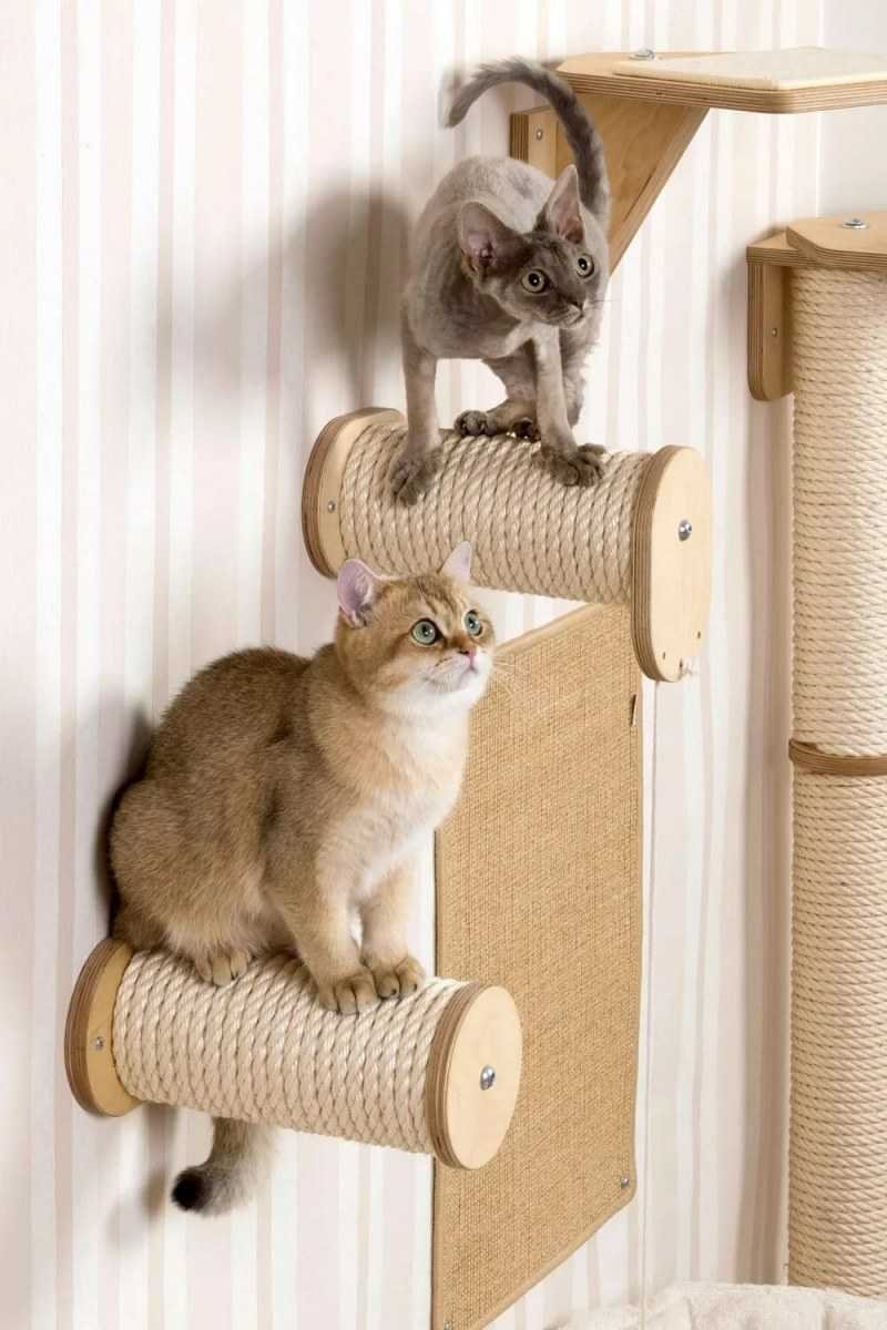 Когтеточки для кошек