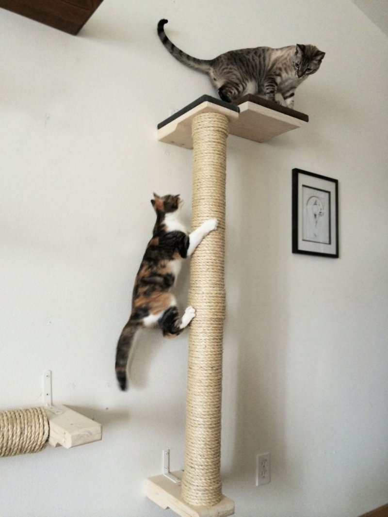 Кошачий домик лазалка
