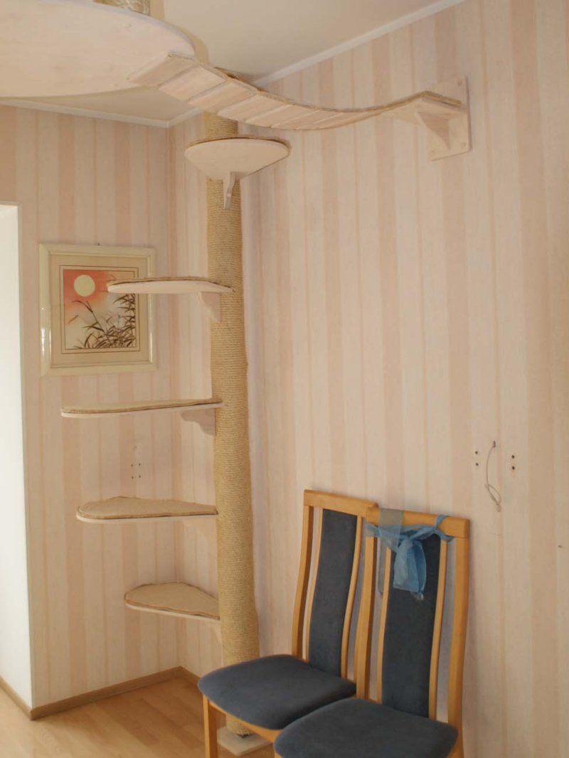 Комплекс когтеточка для мейн куна