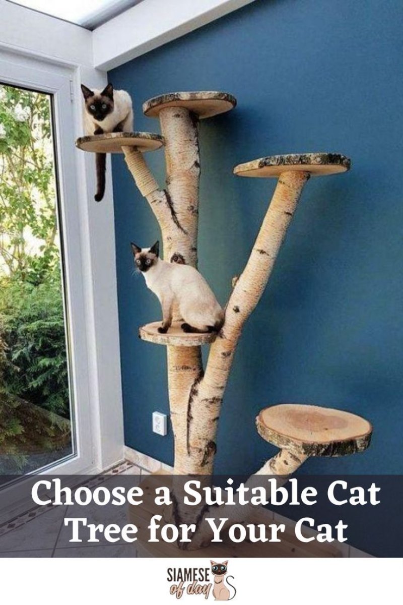 Diy cat tree