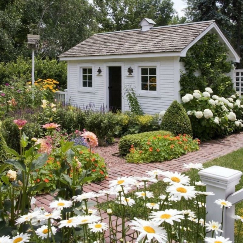 Садовый домик shed garden