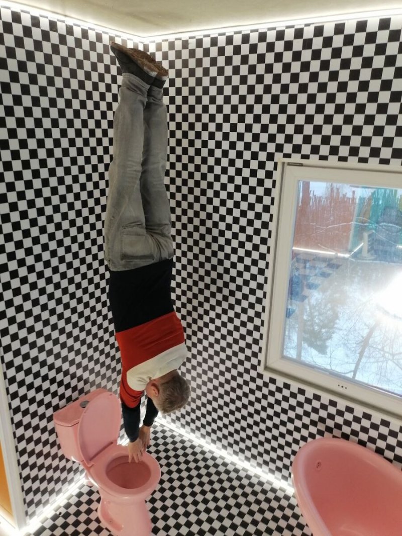 Дом перевертыш