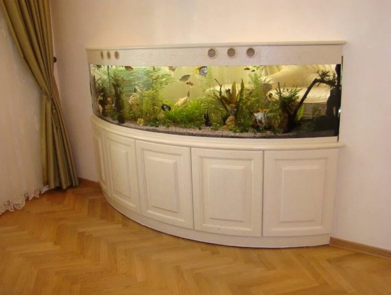 Красивые большие аквариумы