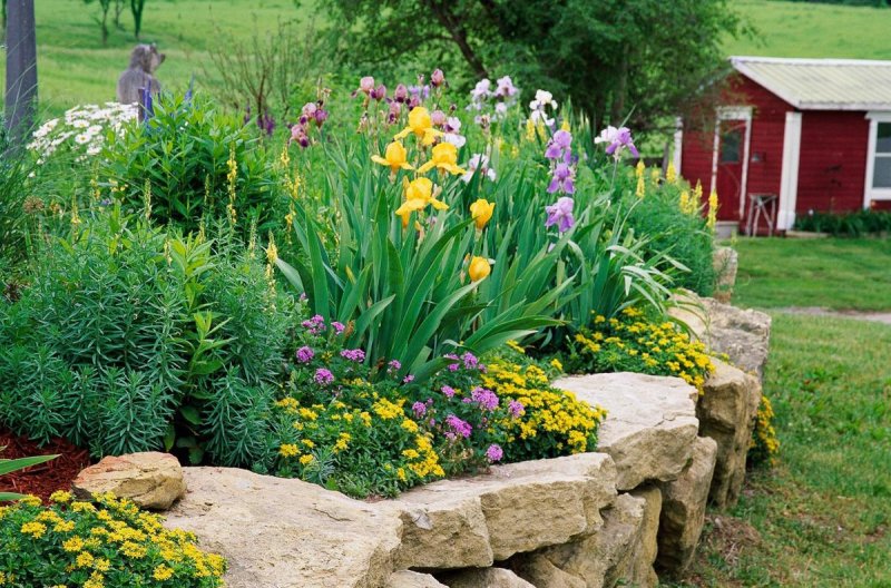 Backyard landscaping