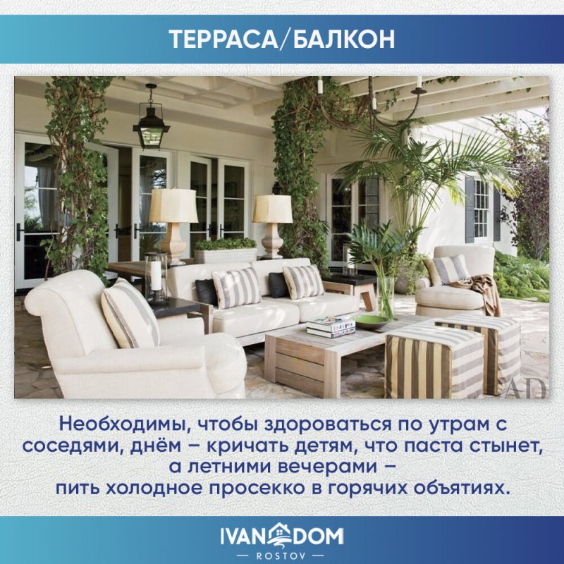 Берберис терраса