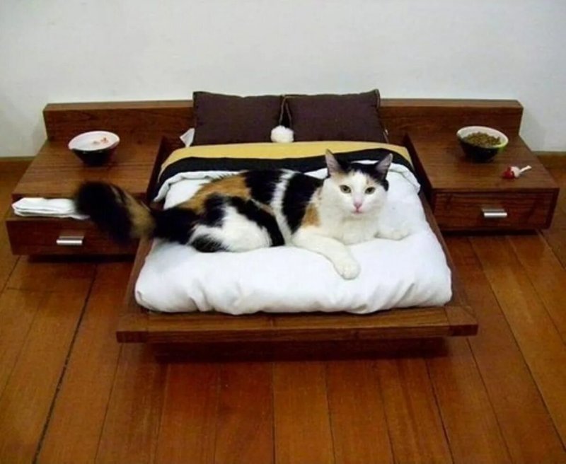 Кровать для кошек