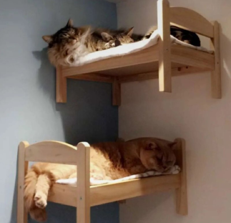 Икеа дуктиг кровать для кошек