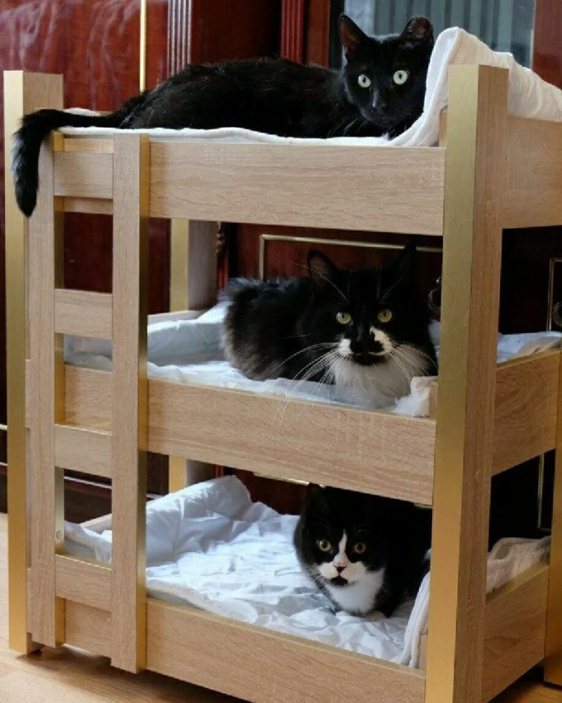 Кроватка для кошки