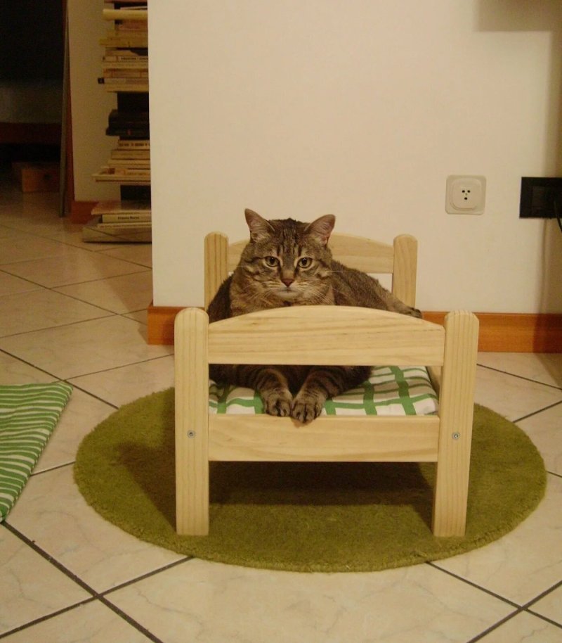 Кошачья кровать