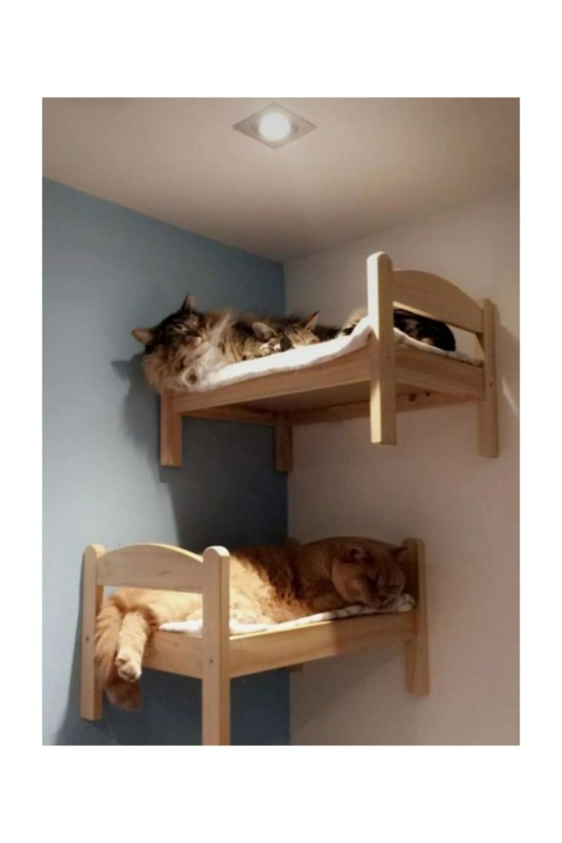 Кровать для кота