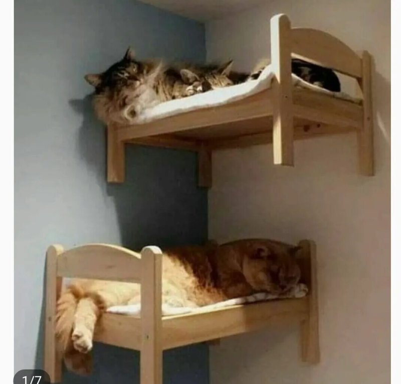 Кроватка для кота икеа