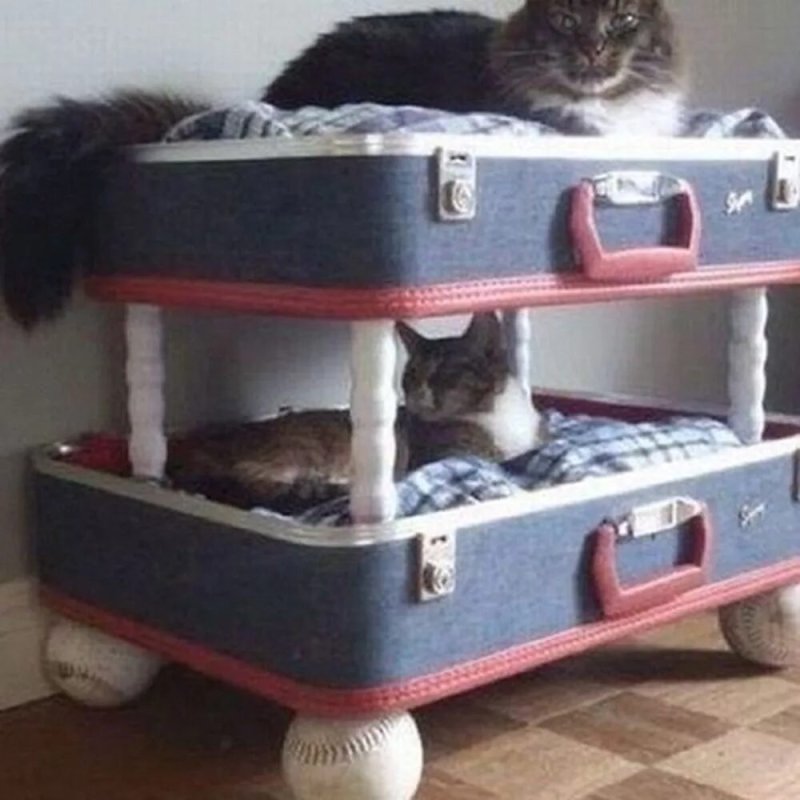 Кошачий домик из чемодана