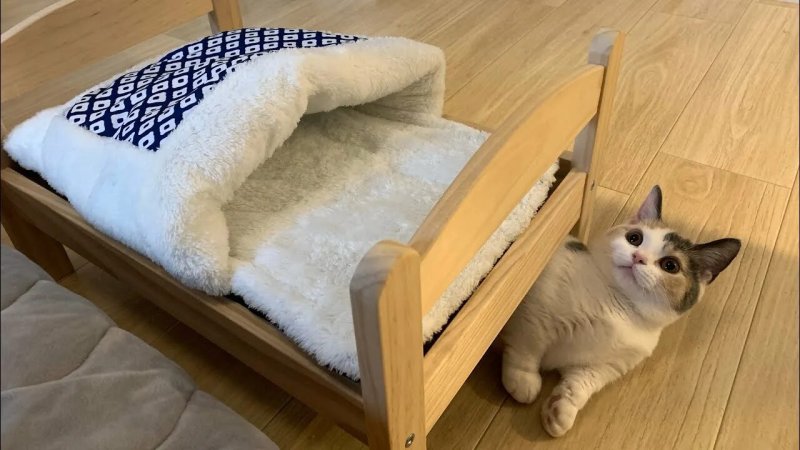 Кровать для домашних животных