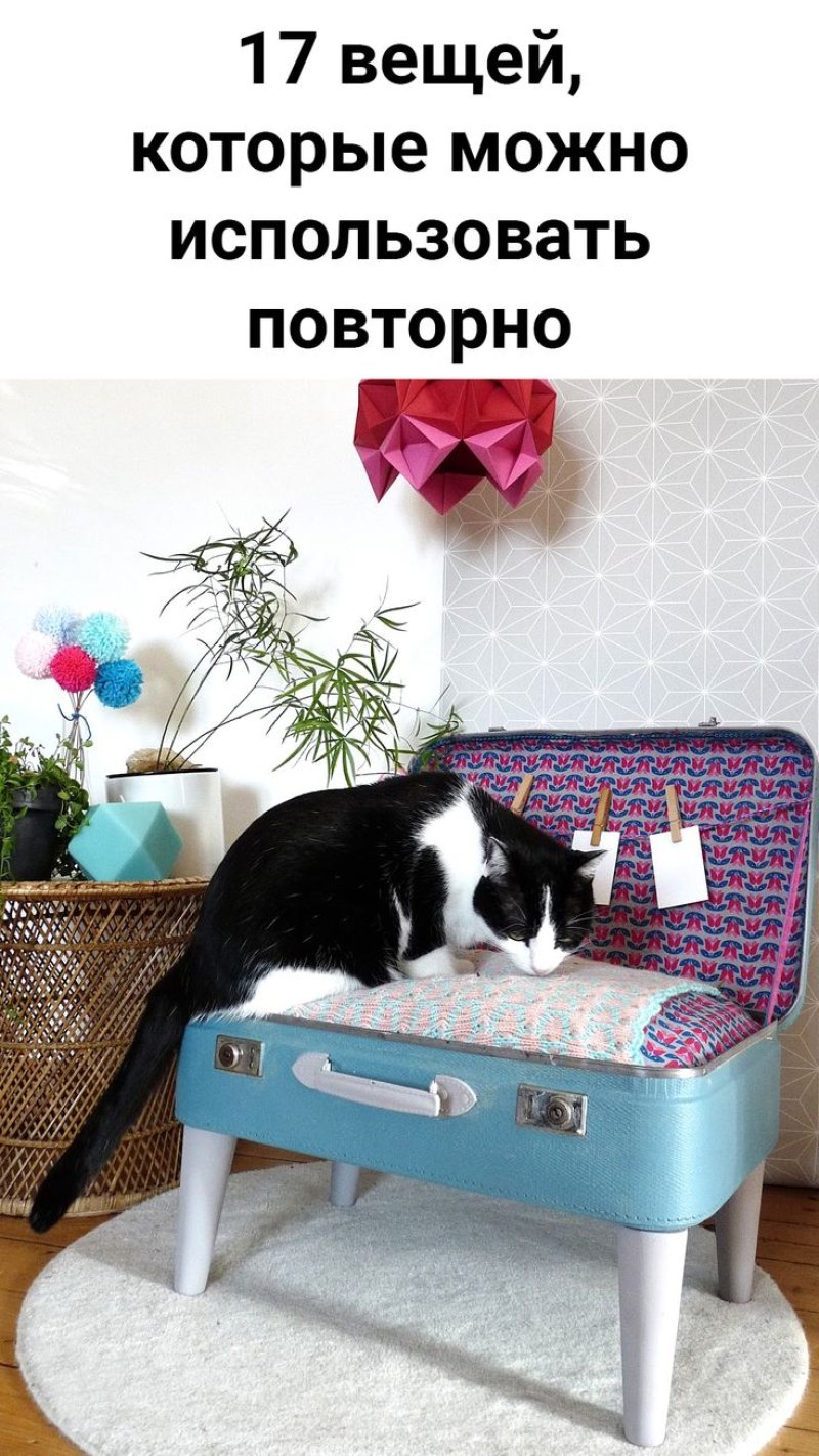 Кровать для кота