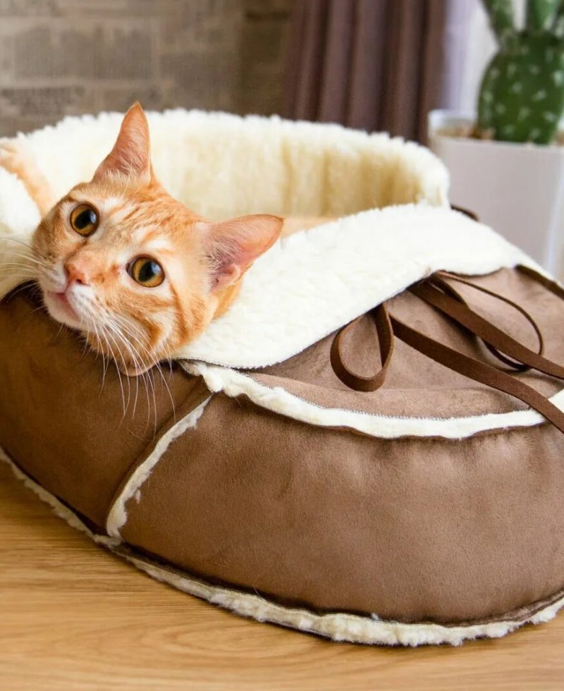 Лежанка для кота