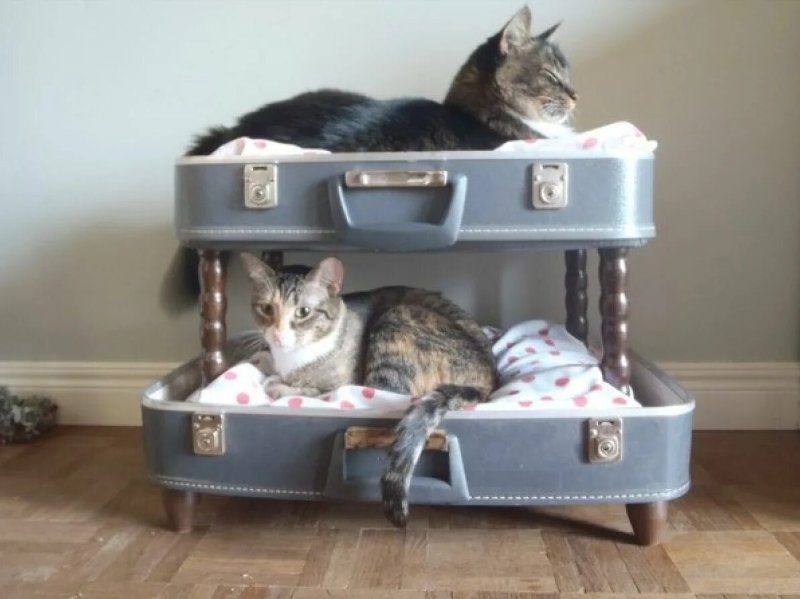 Лежанка для кота