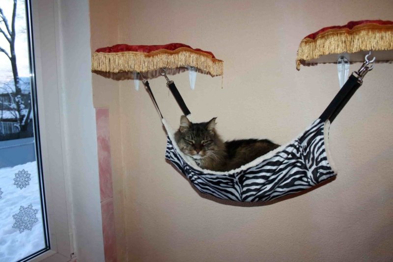 Гамак для кошек