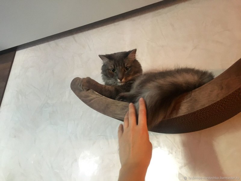 Настенная лежанка для кошек