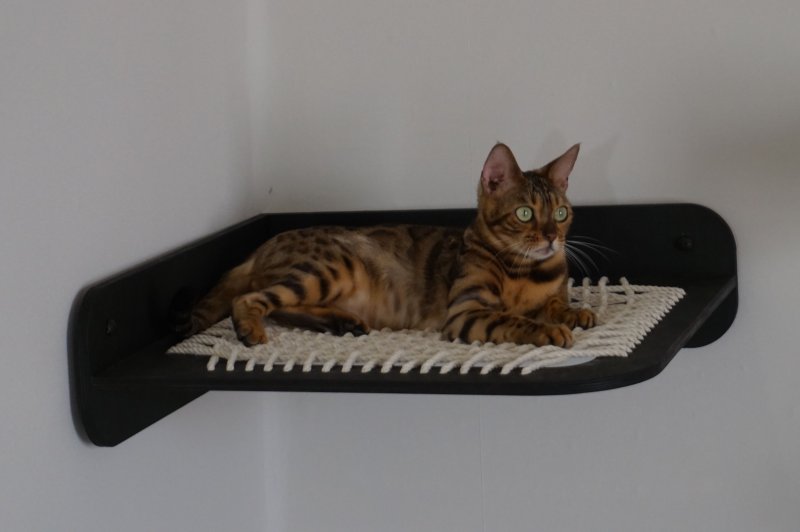 Гамак для котов
