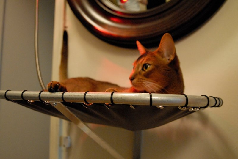 Гамак для кота
