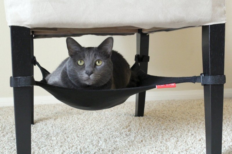 Гамак для кота