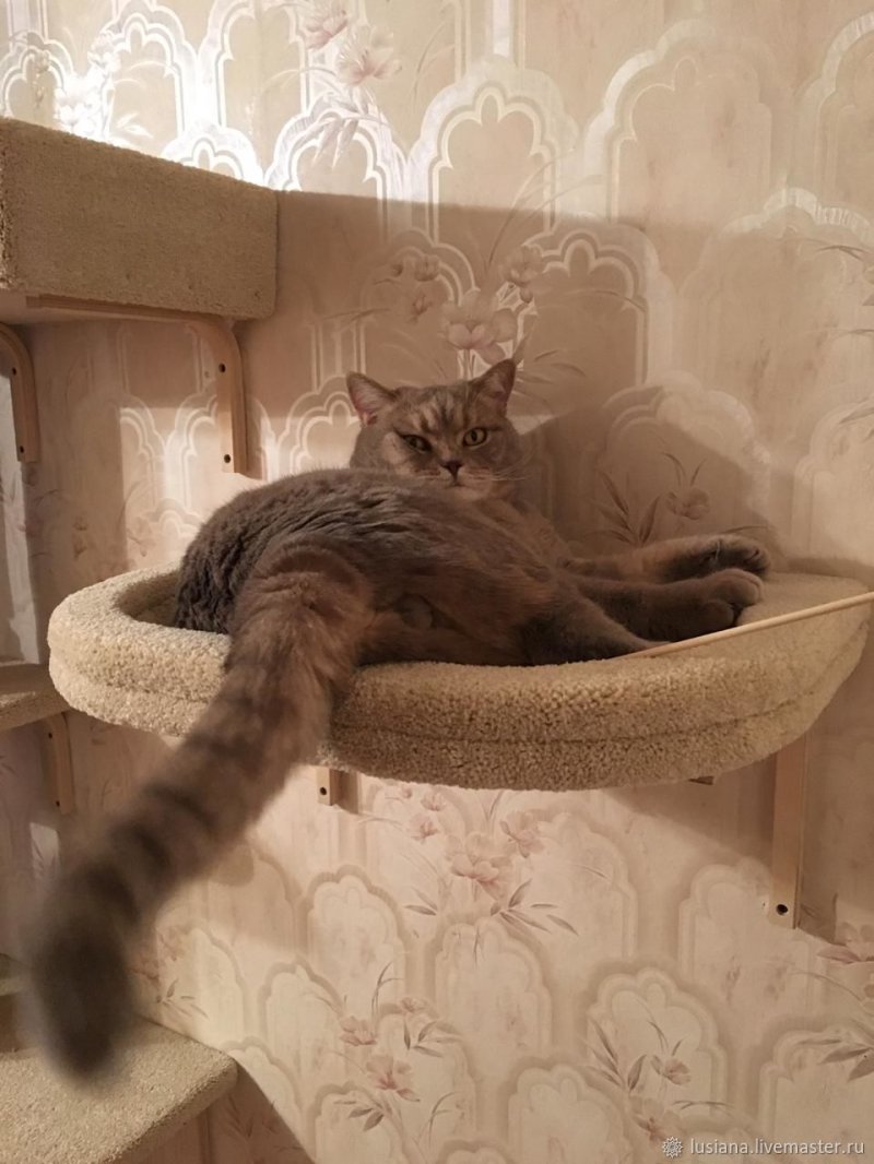 Гамак для кошек