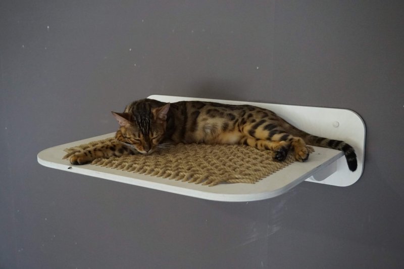 Гамак для кошек настенный