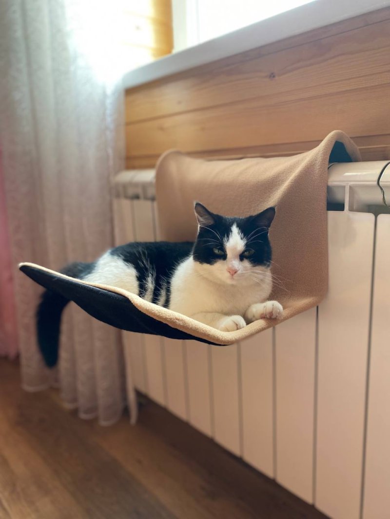 Триол гамак на батарею для кошек