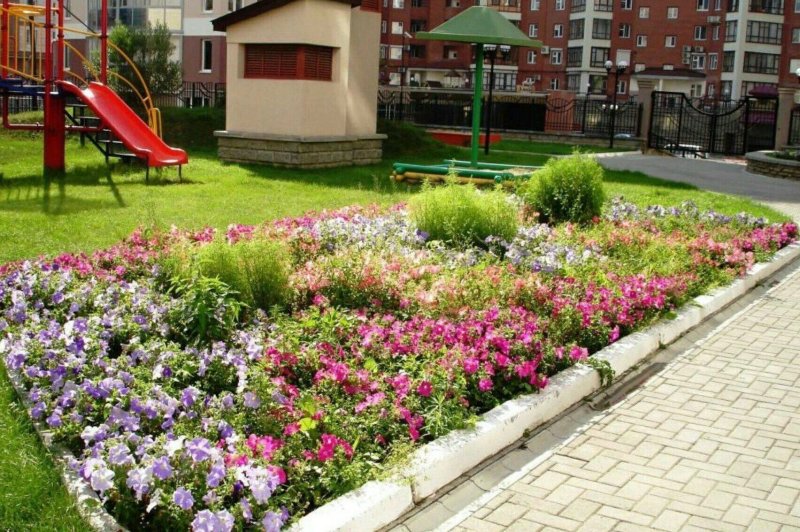 Озеленение двора многоквартирного дома