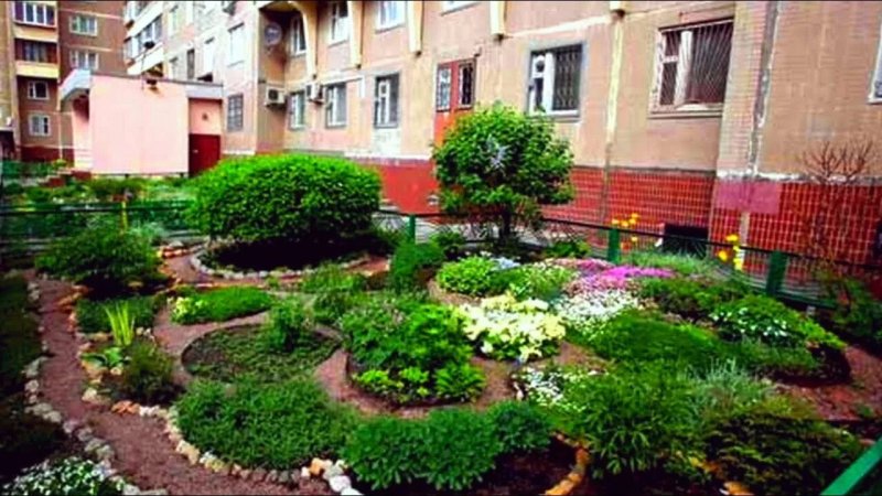 Клумба у подъезда многоквартирного дома