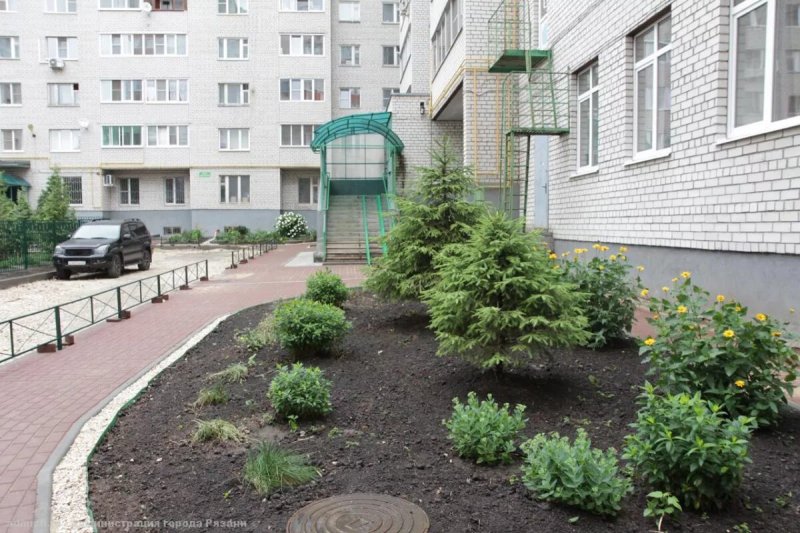 Озеленение двора