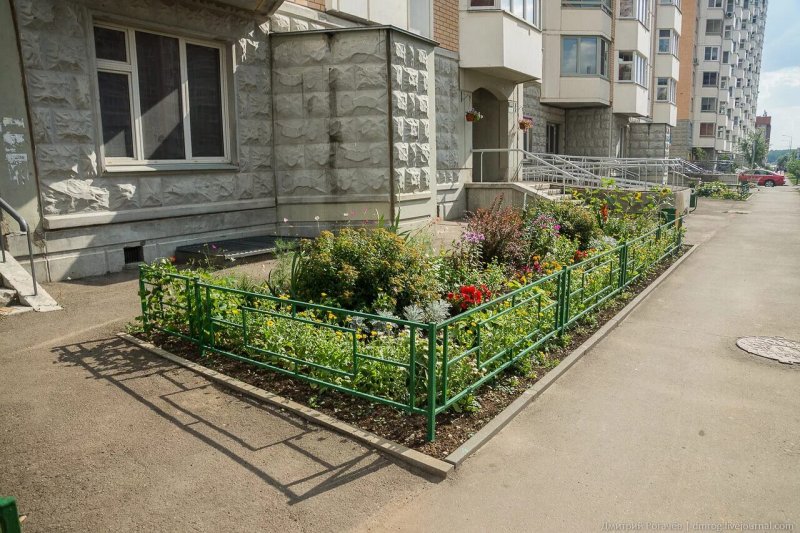 Палисадник в московском дворе