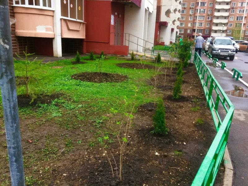 Придомовая территория многоквартирного дома