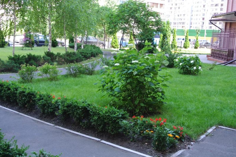 Ландшафтный дизайн сад
