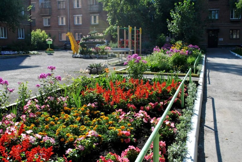 Клумба возле подъезда многоквартирного дома