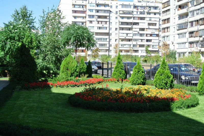 Красивая клумба