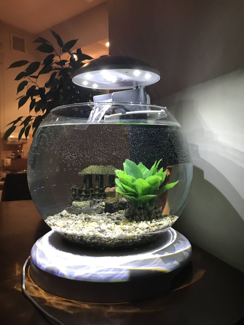 Аквариум tetra cascade globe