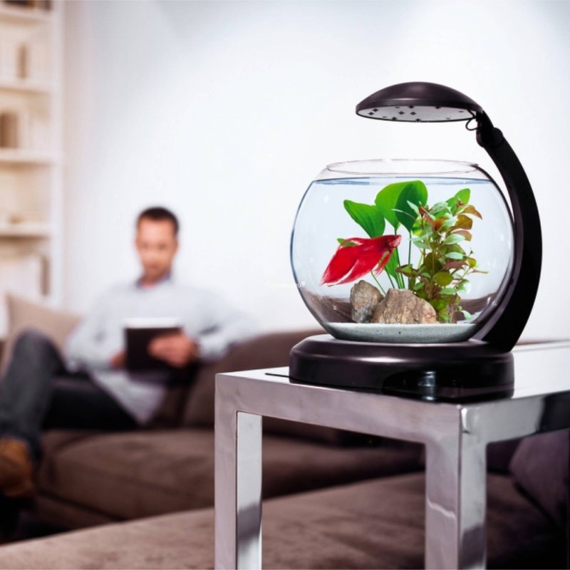 Аквариум tetra cascade globe